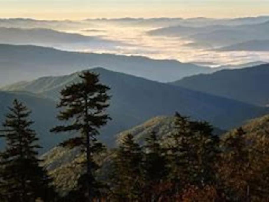 1 Mi To Dollywood Mins To Attractions & Gsmnp Holiday home *
