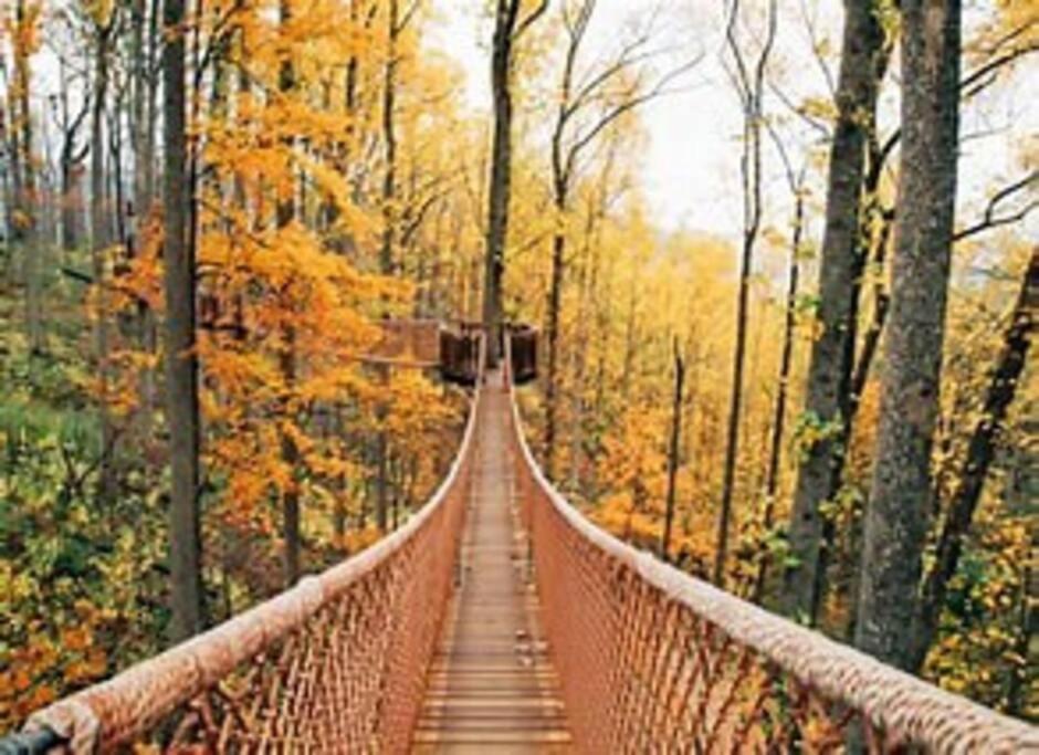 1 Mi To Dollywood Mins To Attractions & Gsmnp Сasa de vacaciones